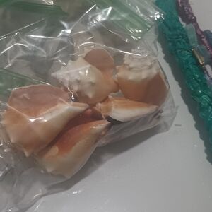 Natural Sea Shells - Tan & White Conch Mix